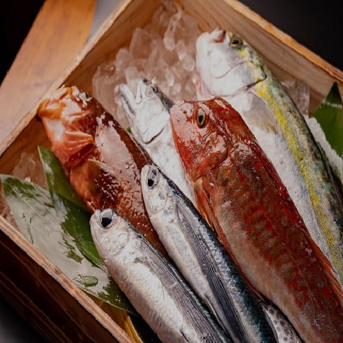 ネオ大衆居酒屋×美桜鶏 くまの隠れ家 新鮮な魚の写真